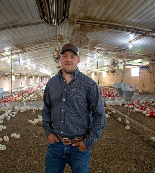 Farmer standing in a broiler house.